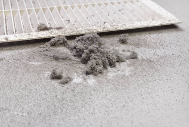 Best Commercial Air Duct Cleaning  in Sycamore, GA