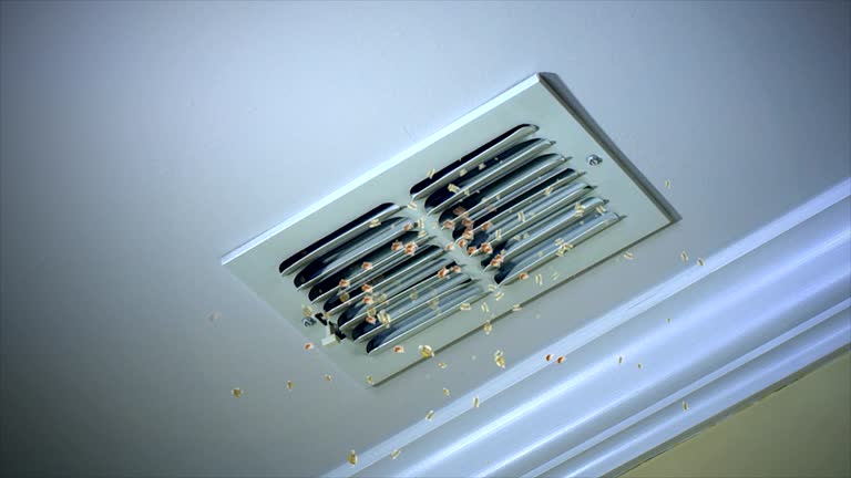 Best HVAC System Cleaning  in Sycamore, GA