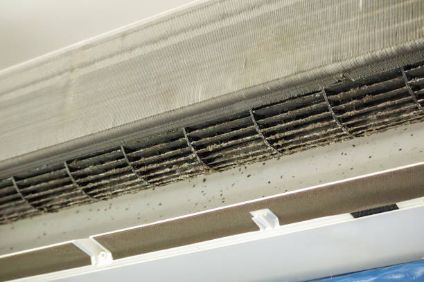 Best Duct Cleaning for Homes  in Sycamore, GA